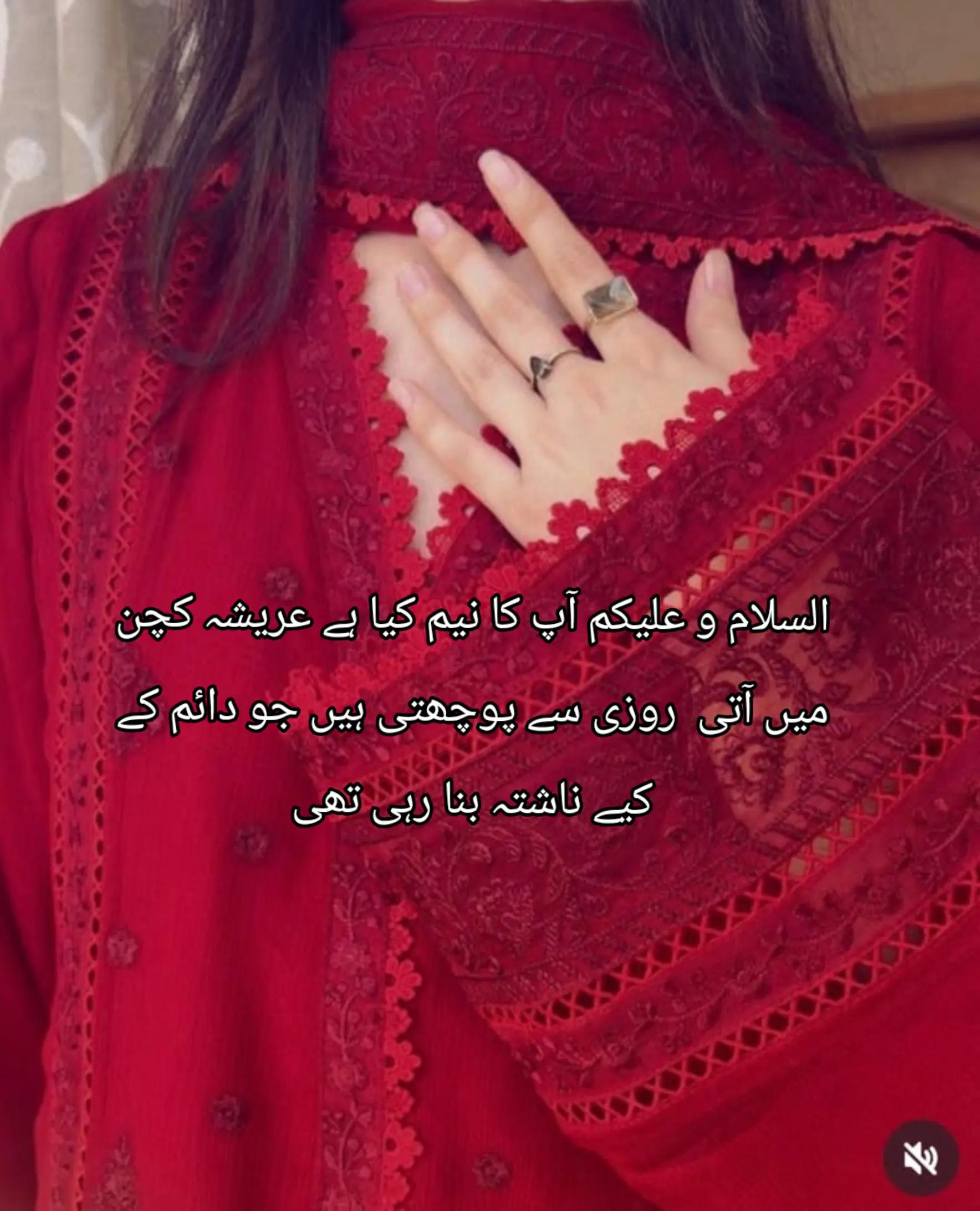 @《~•novel writer •~》