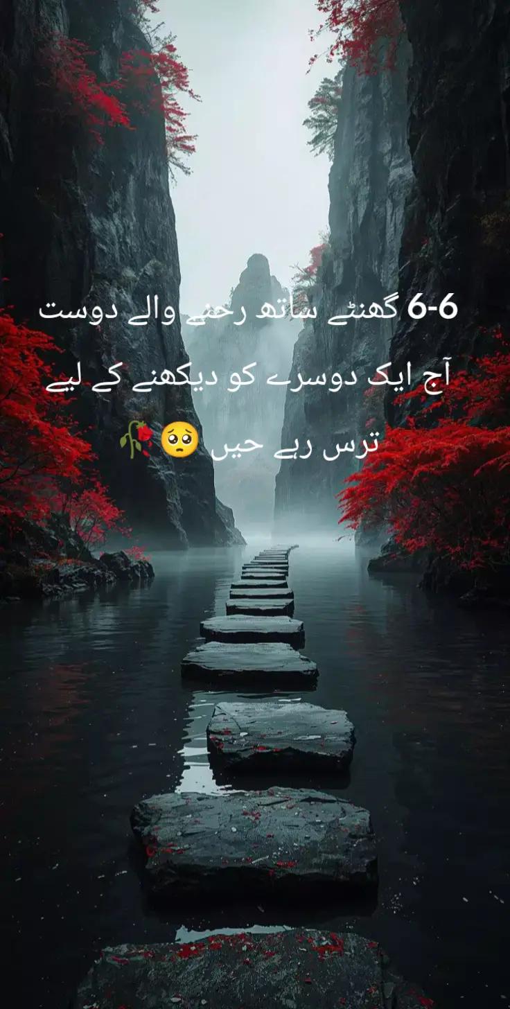 @میا ایان🚩