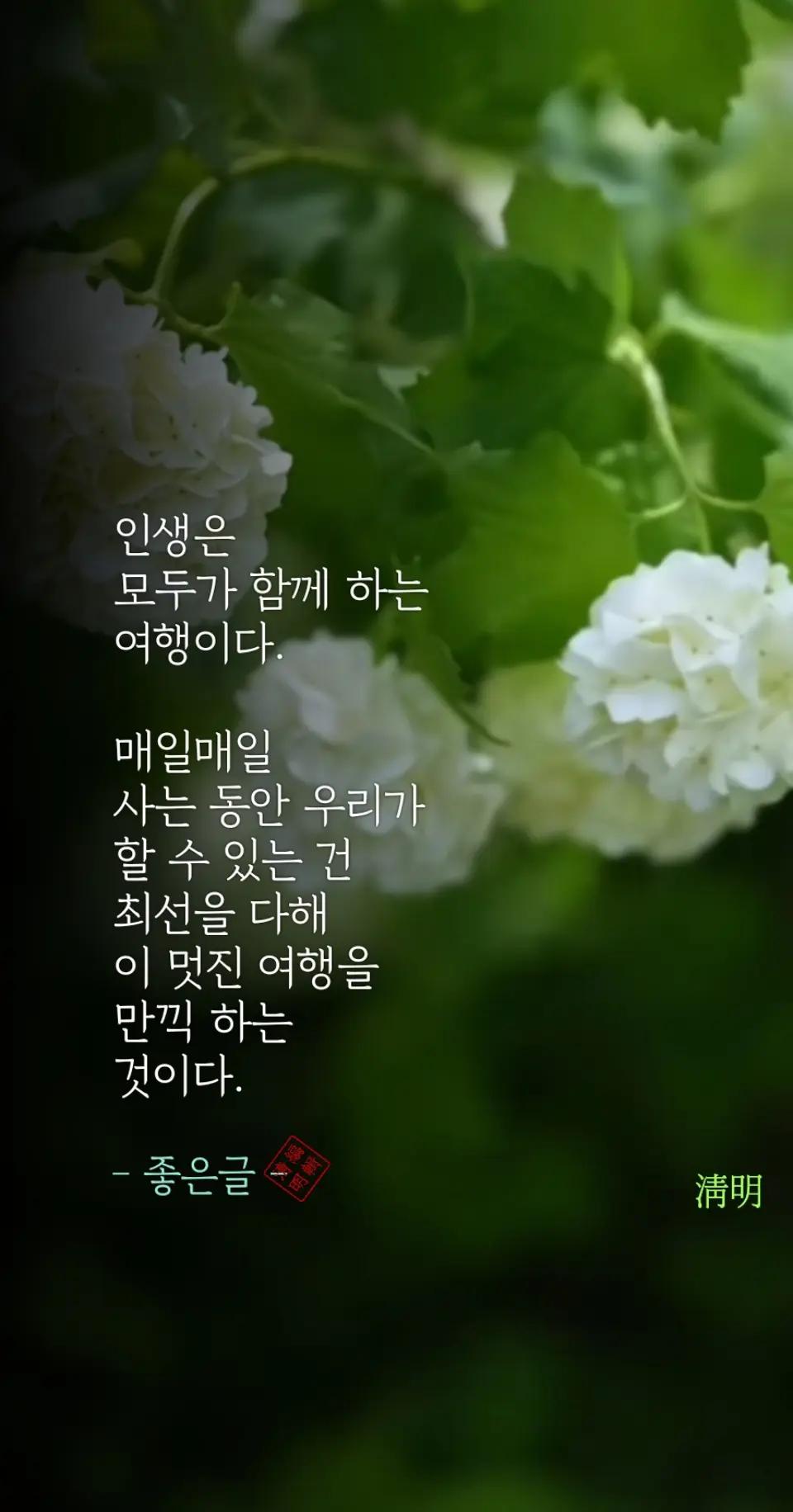 @시인/이정범(淸明)