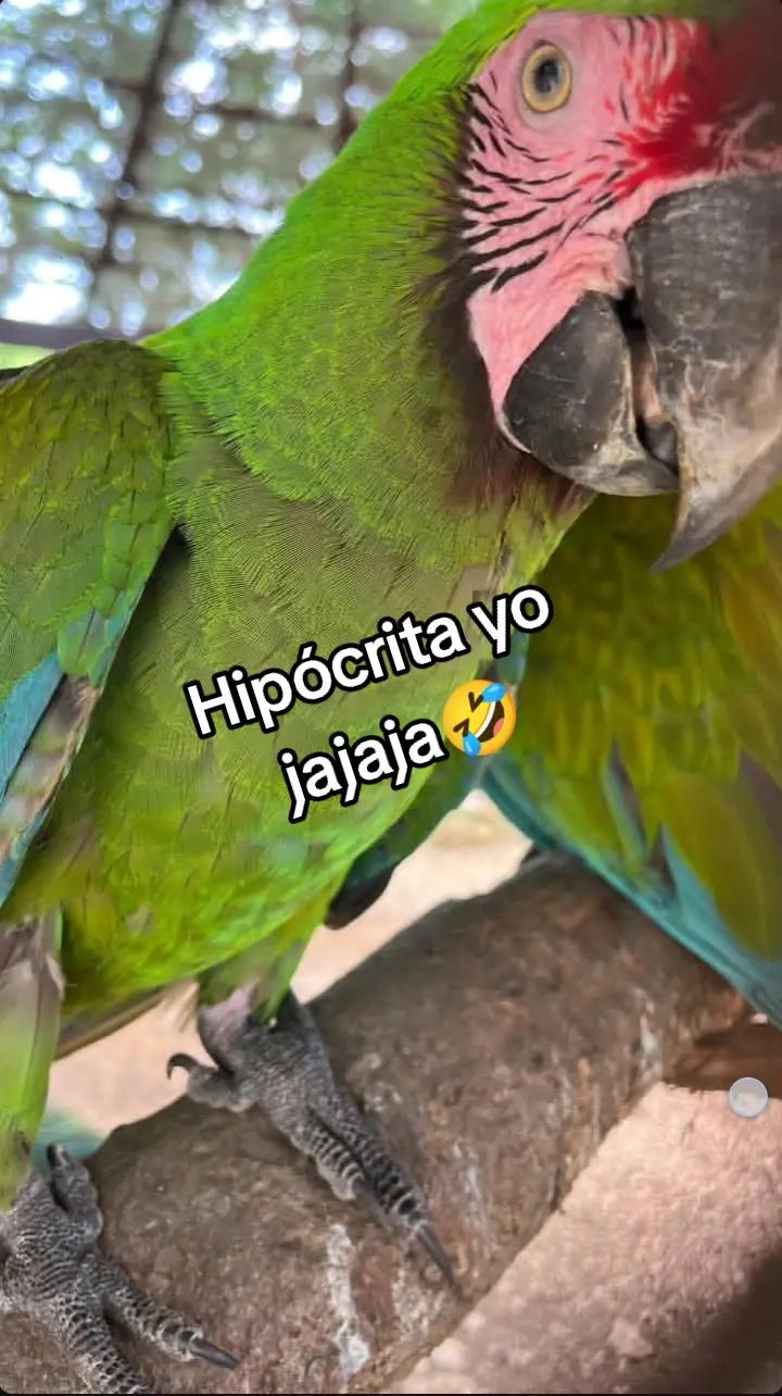 @Adri 🪼