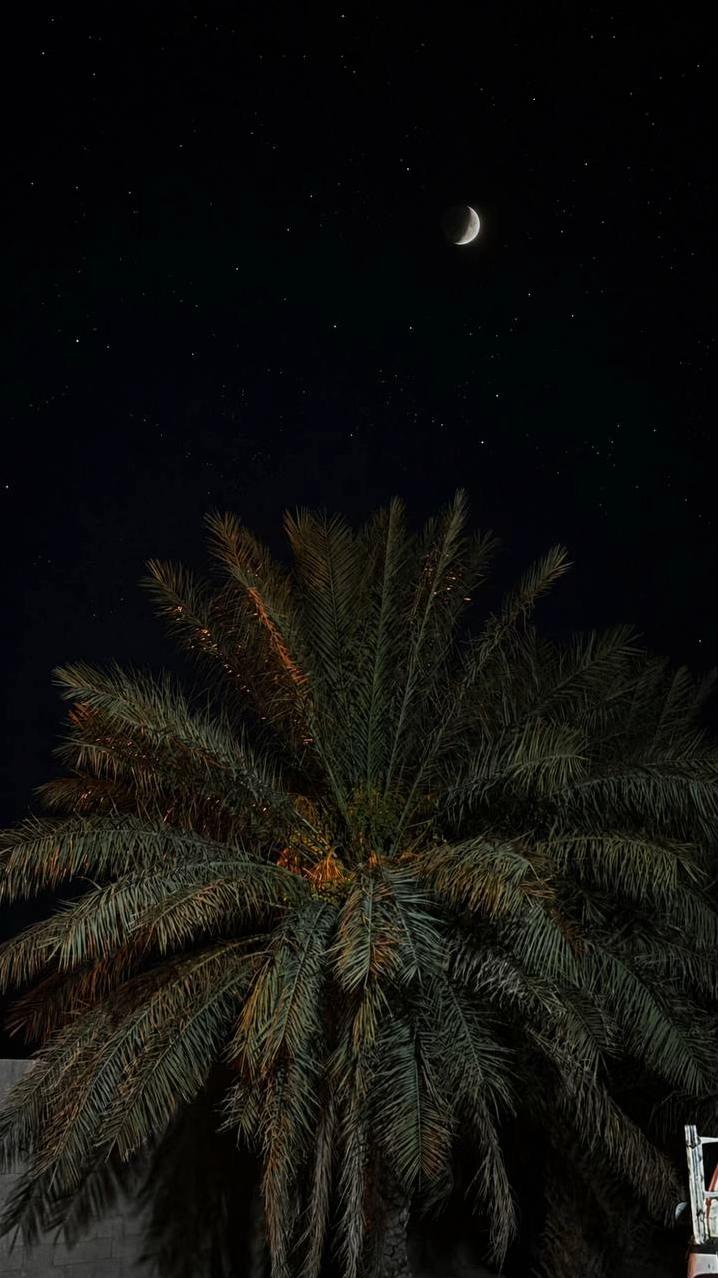 @𝓝|📸