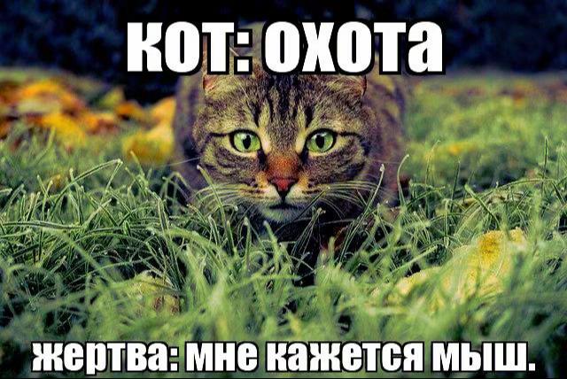 @тгк турбо выбулькиватель