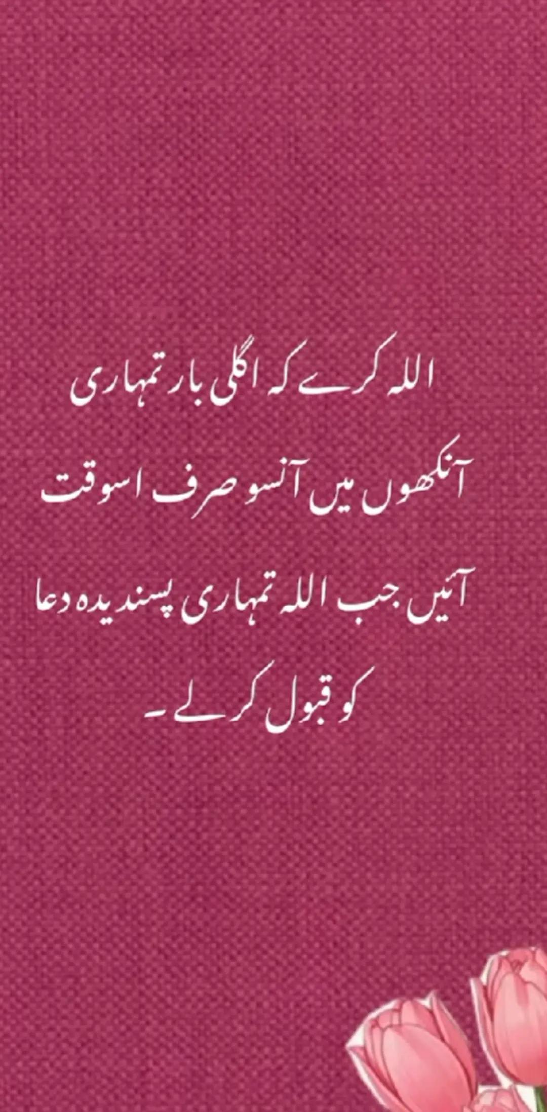 @its.amna_