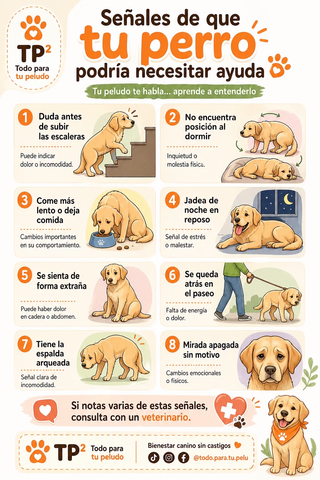 @Todo para tu peludo