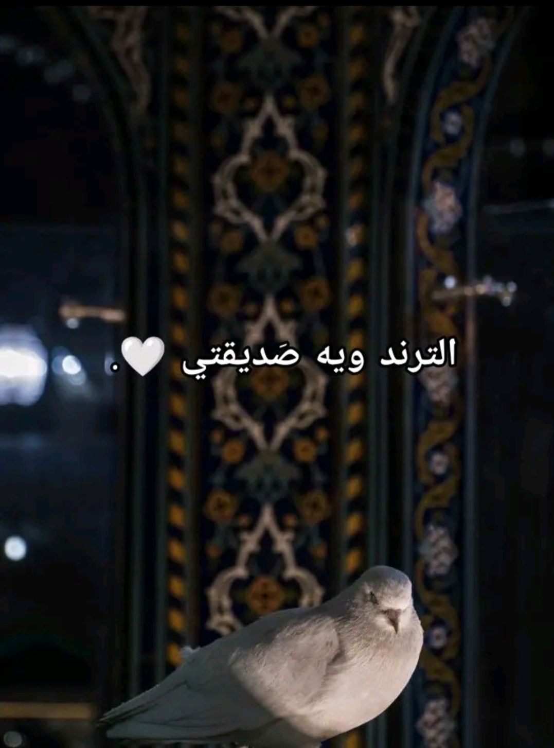 @,ينـِِـِـأير 𓍢 ִ ໋𖹭 ִֶָ