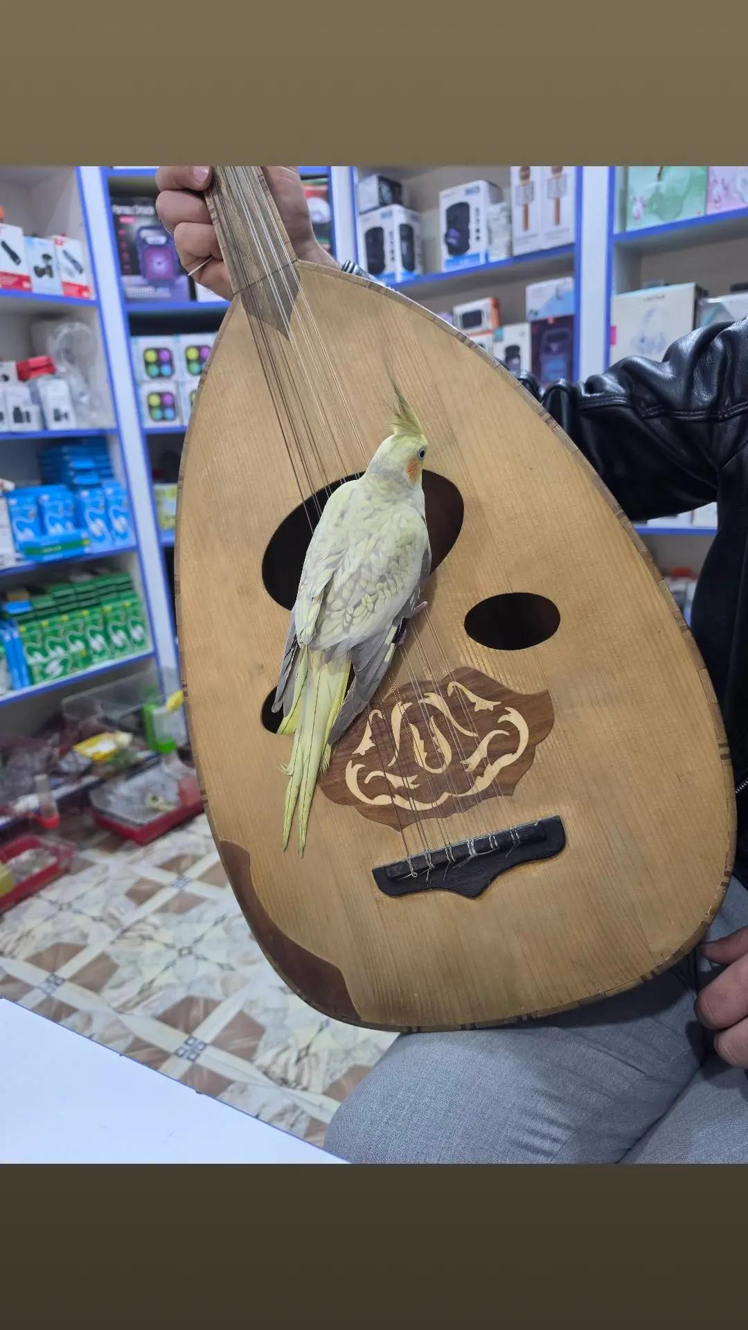@حْوْرْ آلْعْيْنْ.