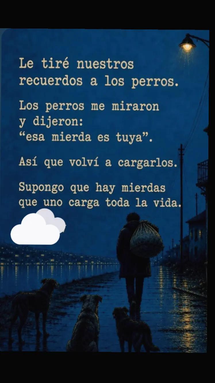 @el panda solitario