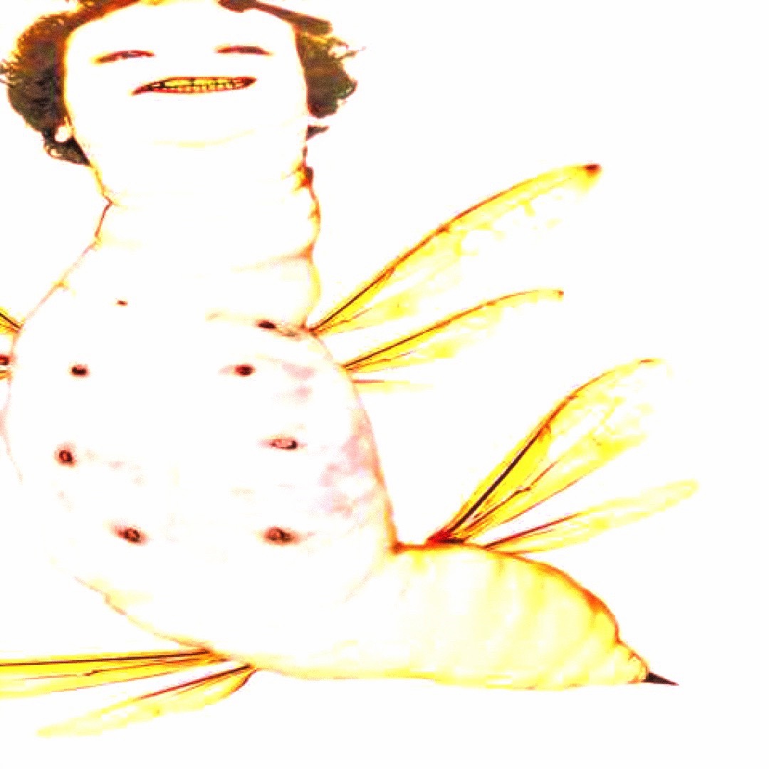 @trimothee
