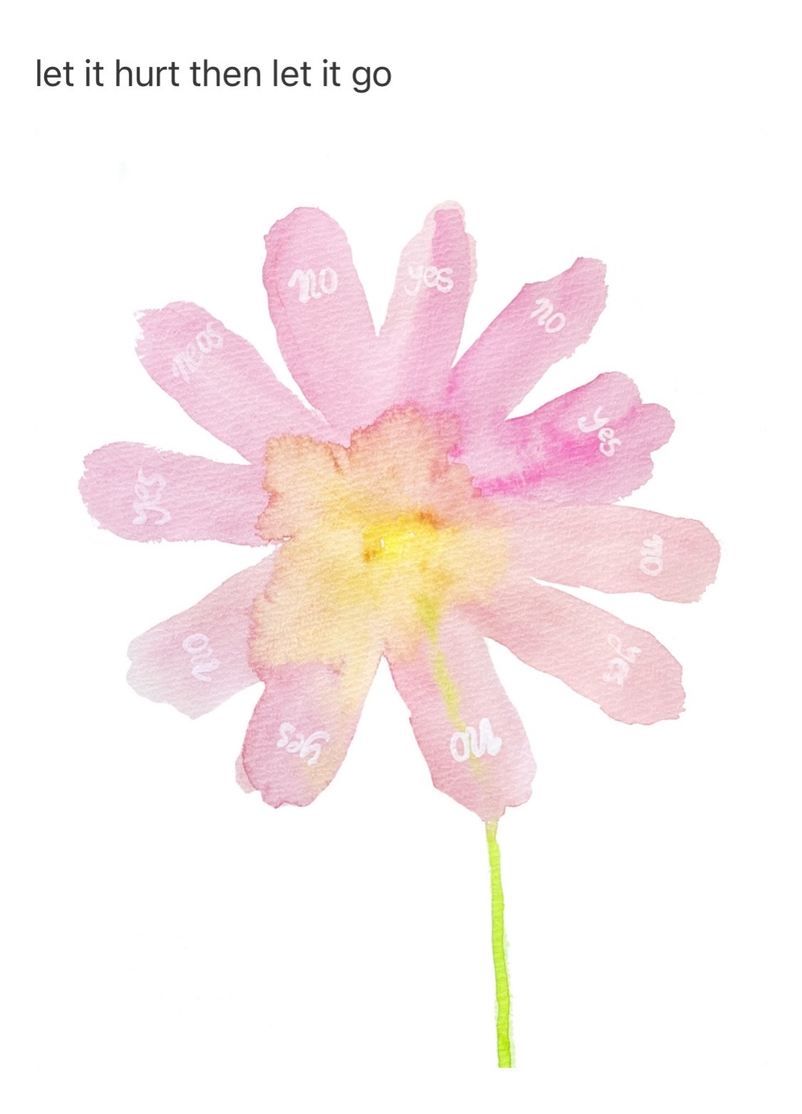 @Tims daily flowers