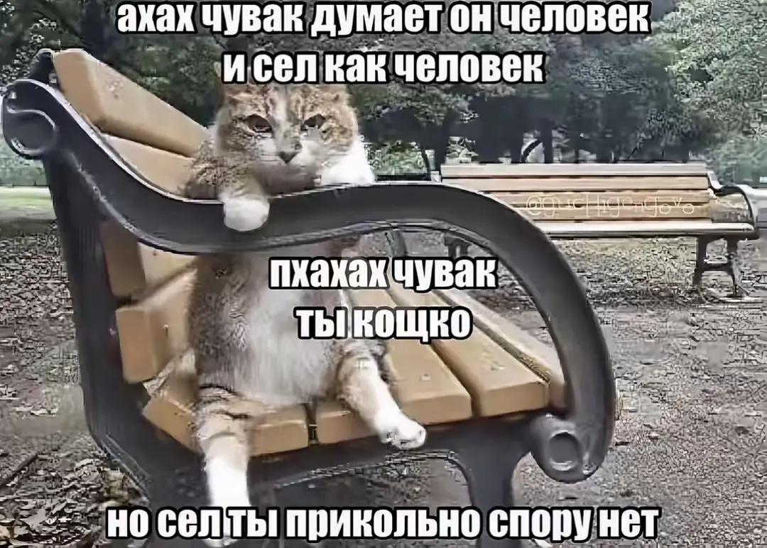 @MEXAНИК