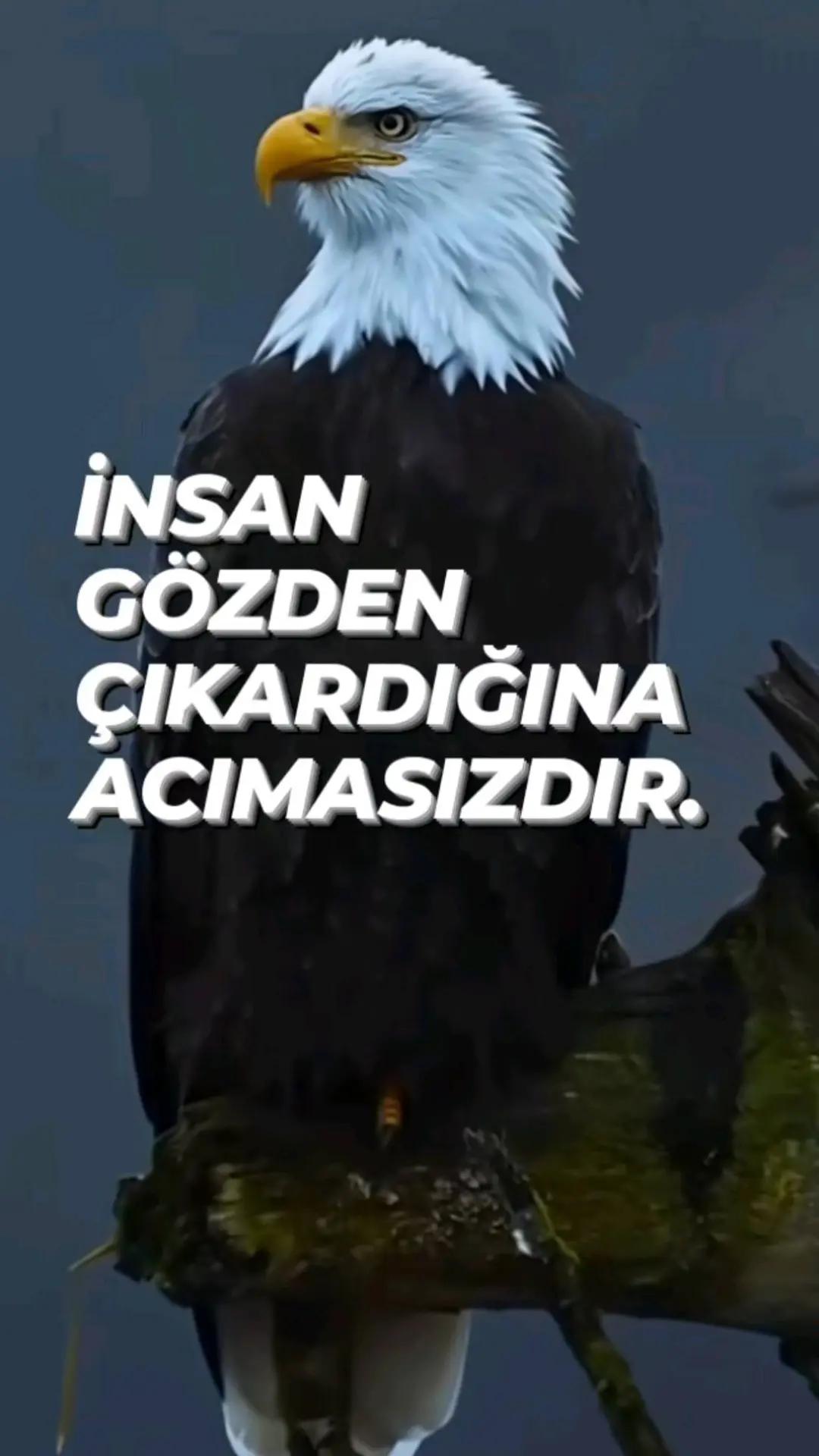 @Evlaat
