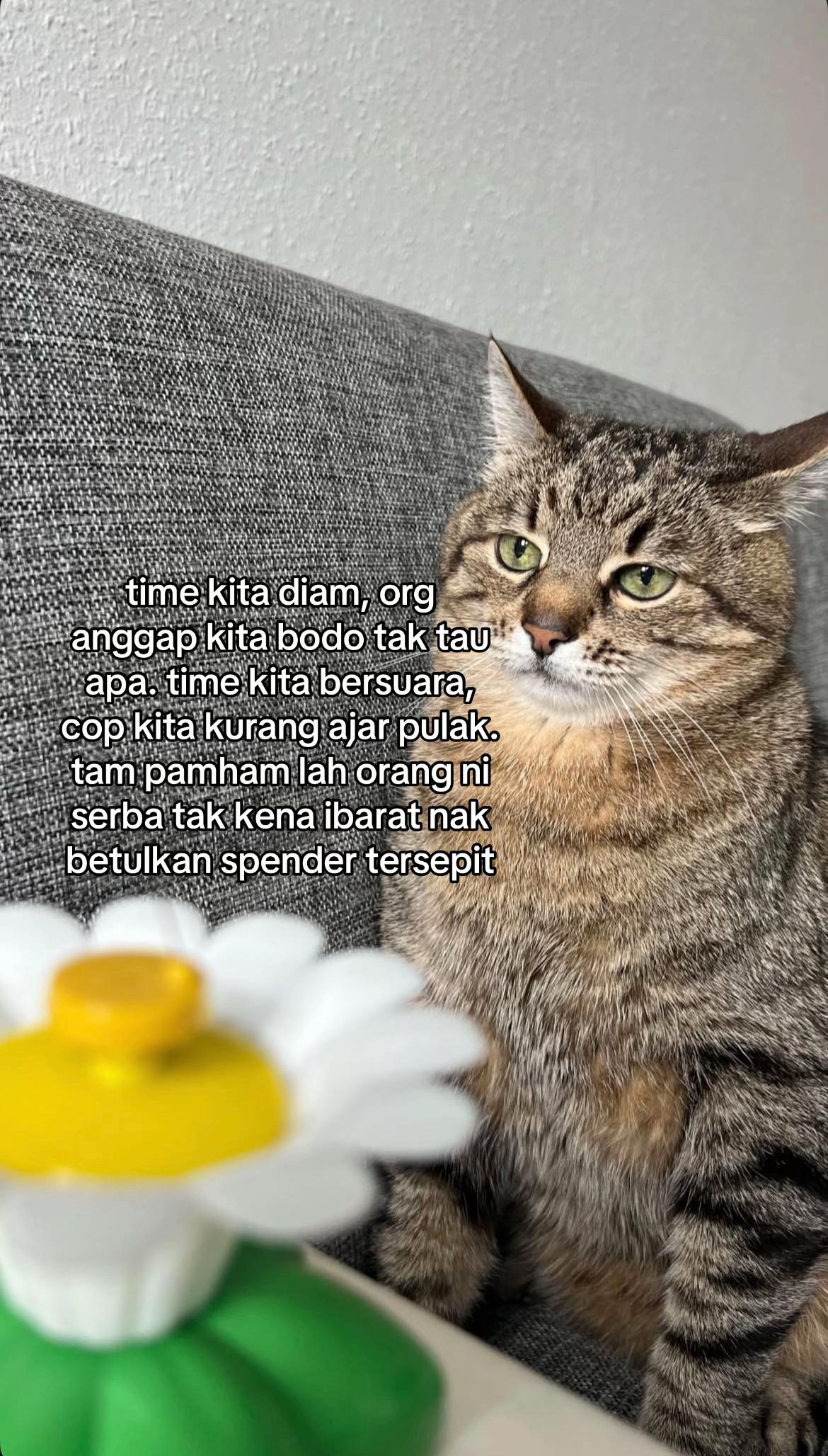 @ngeong prot prot