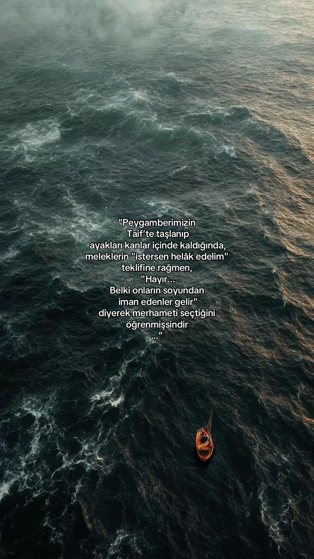 @𝓔𝓵𝓲𝓯