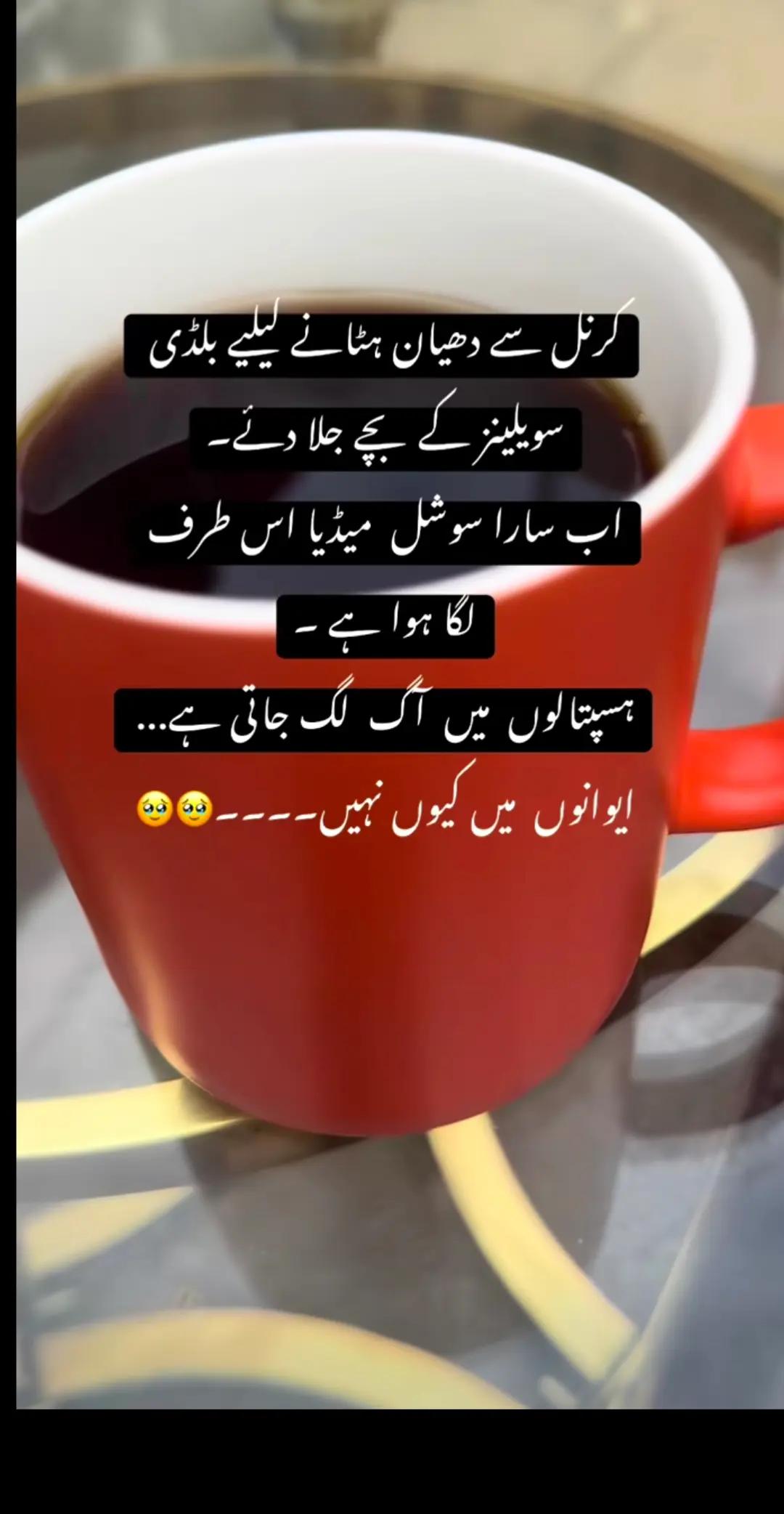 @Itx~Jannat