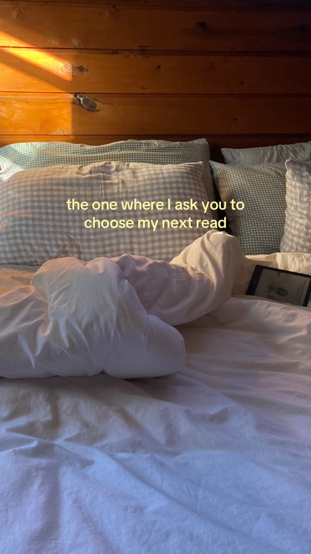 @Hayes 📖