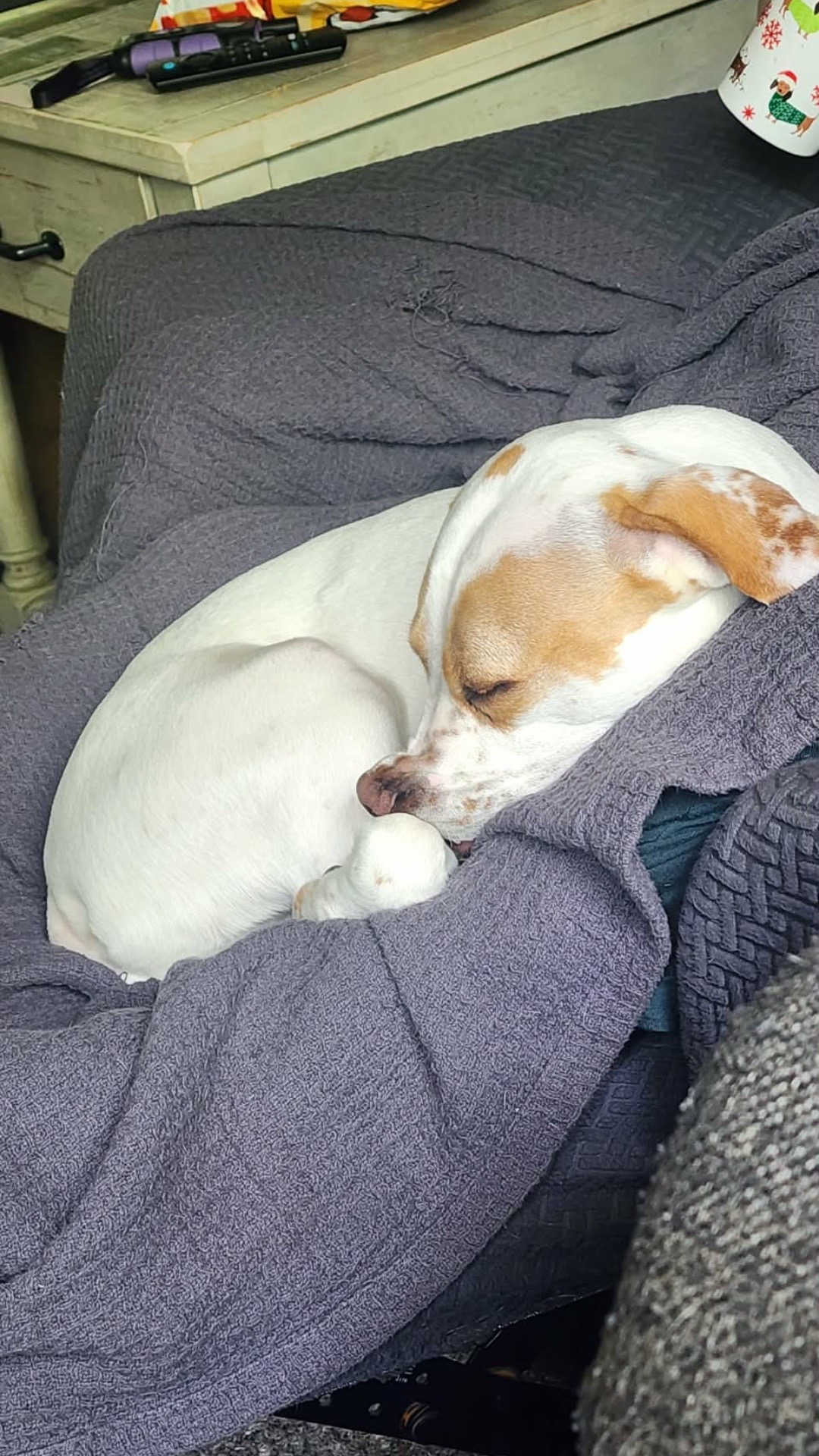 @Sproutie 🐶