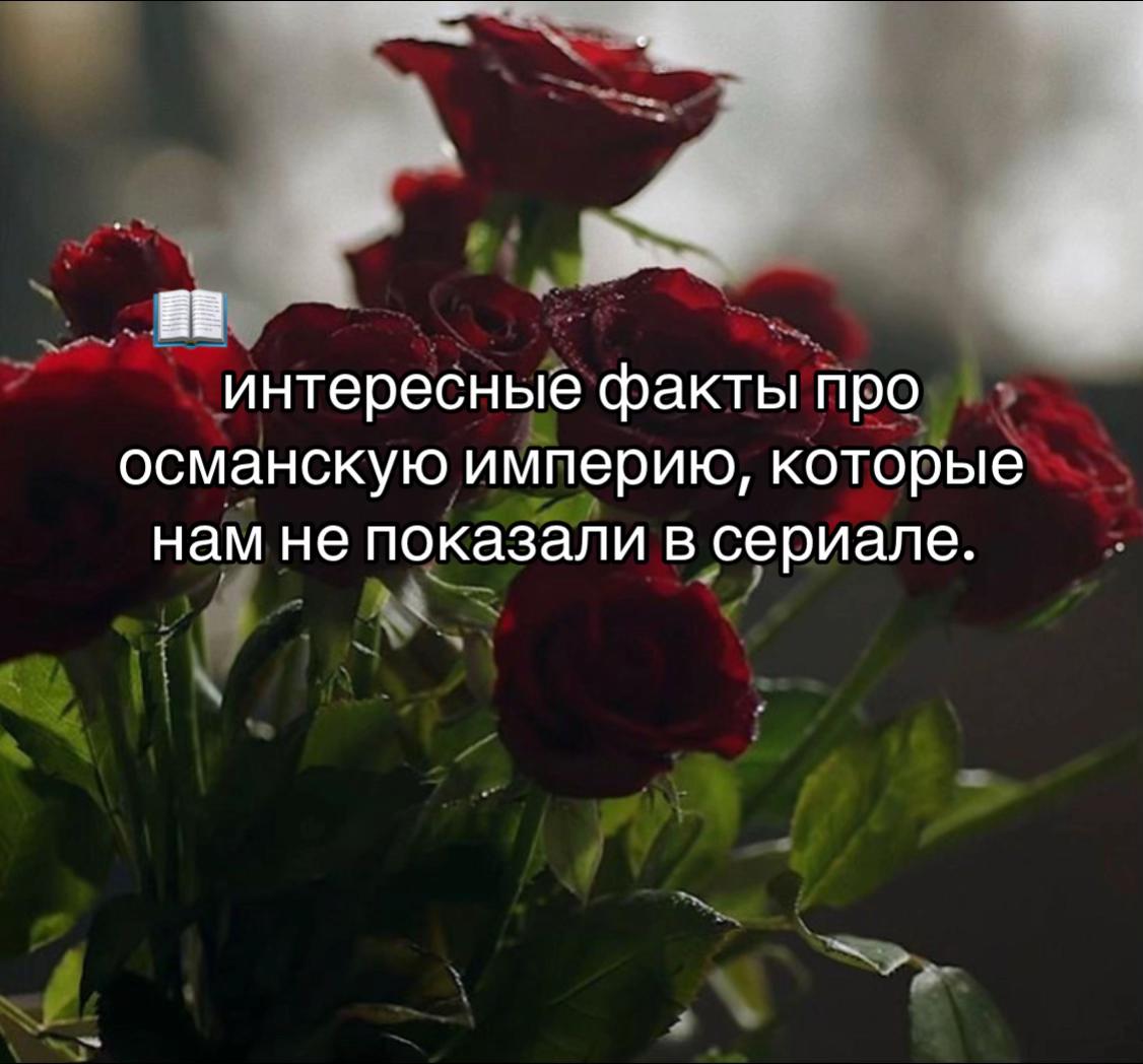 @nurbanu. 👑