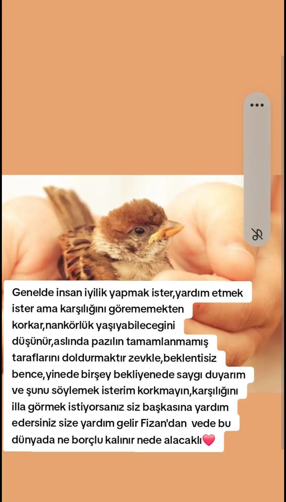 @Mico_Boncuk