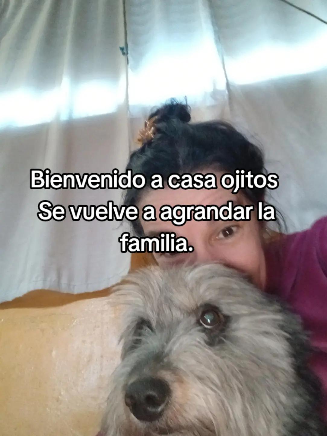 @psicóloga ele⭐💕