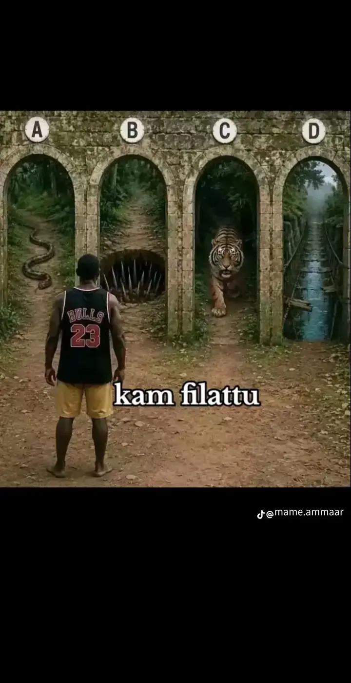 @boonaa ilmma saba guddaa