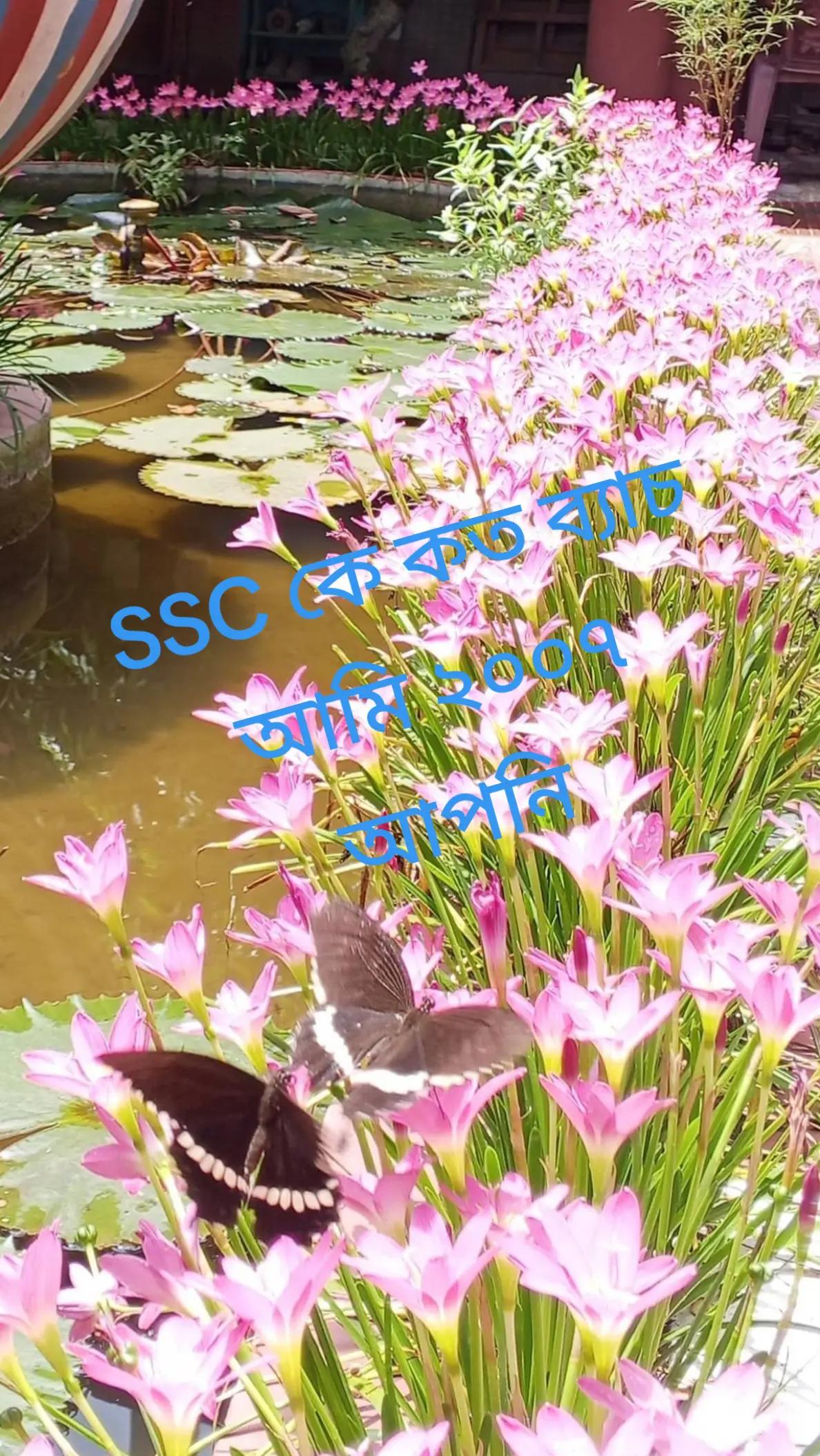 @শাহারিন