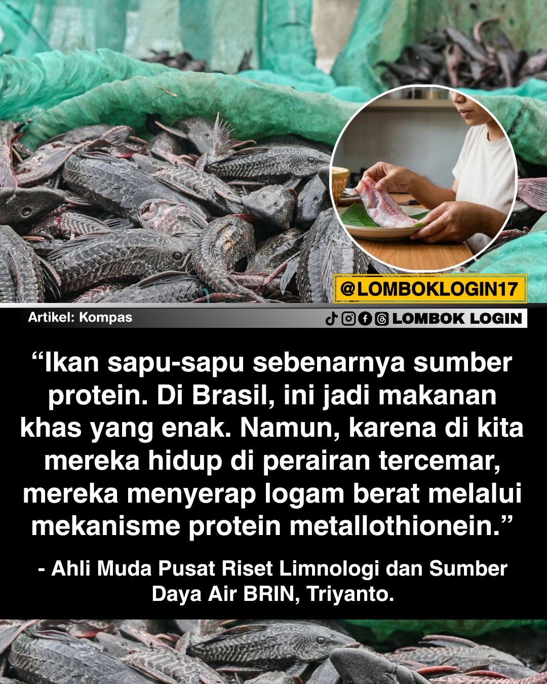 @LOMBOK LOGIN