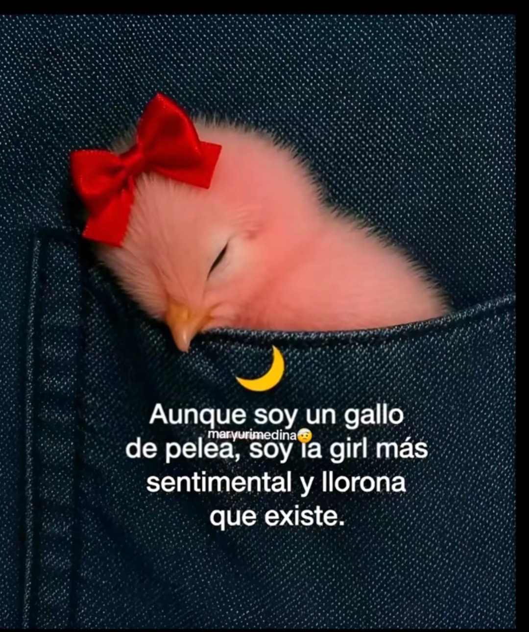 @Lisbeth 184