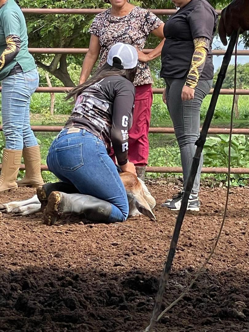 @Alexa🌸🐩
