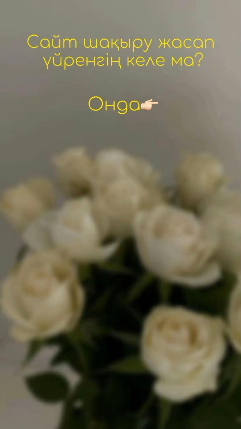 @shaqyrtu.qrd