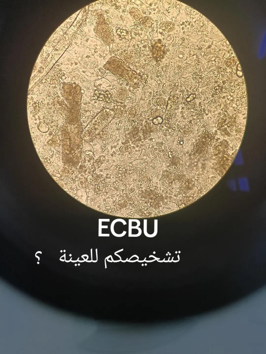 @Houda Micro 🔬