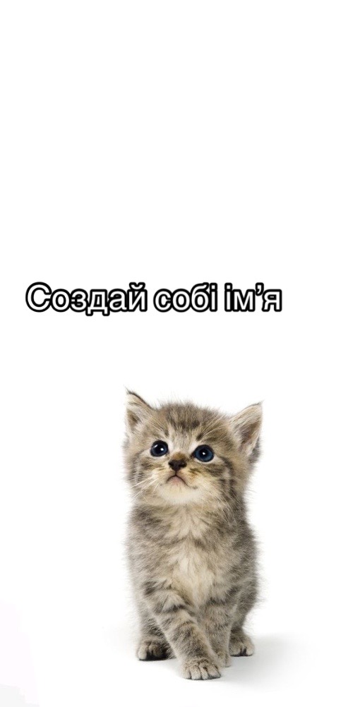 @nexxi