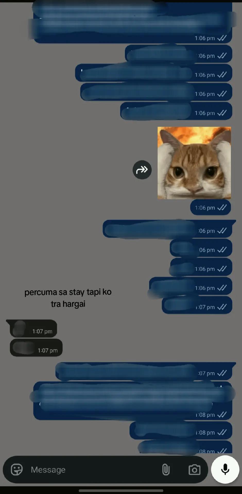 @mldndnd🫧