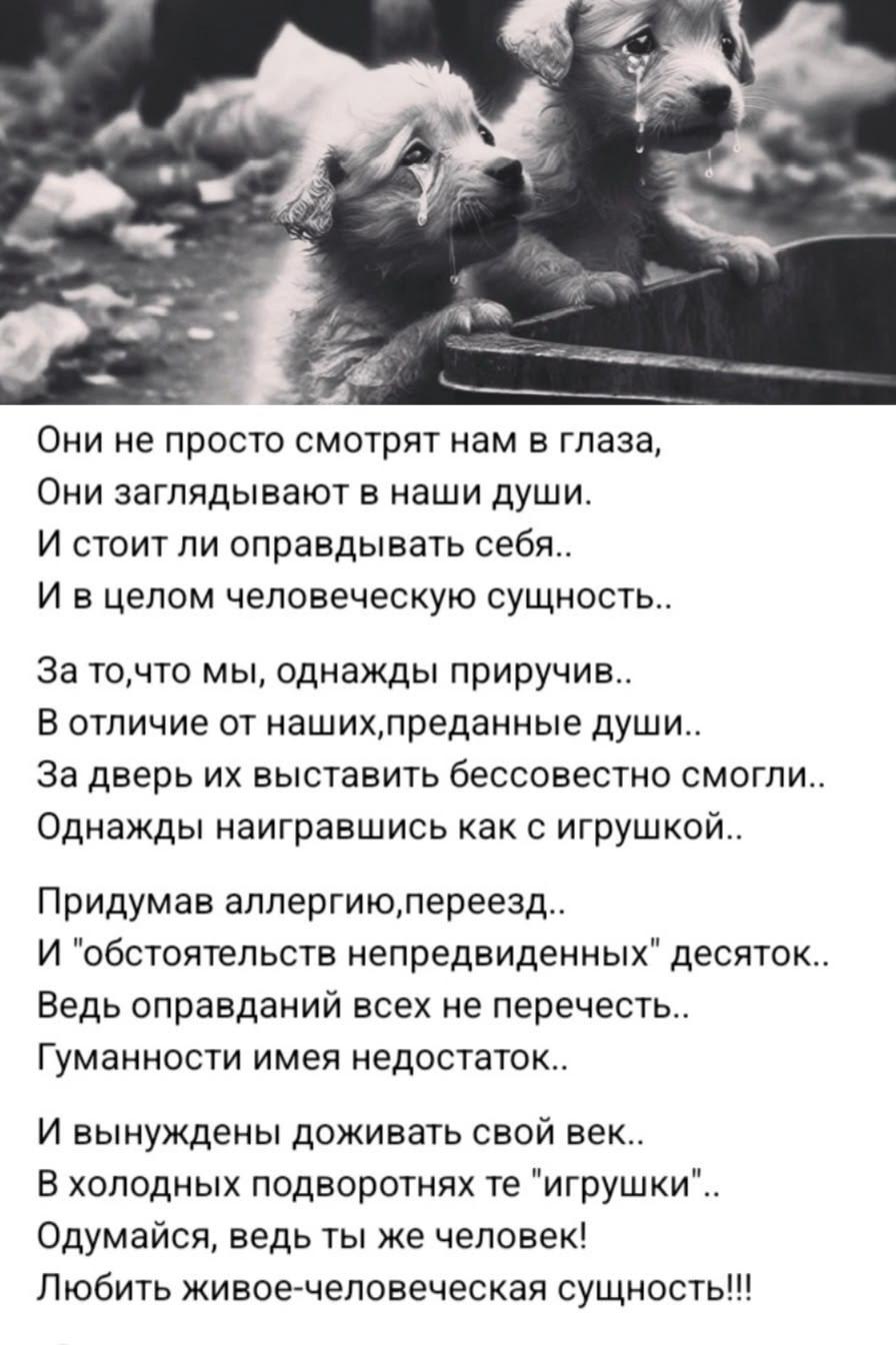 @Денис Манис !
