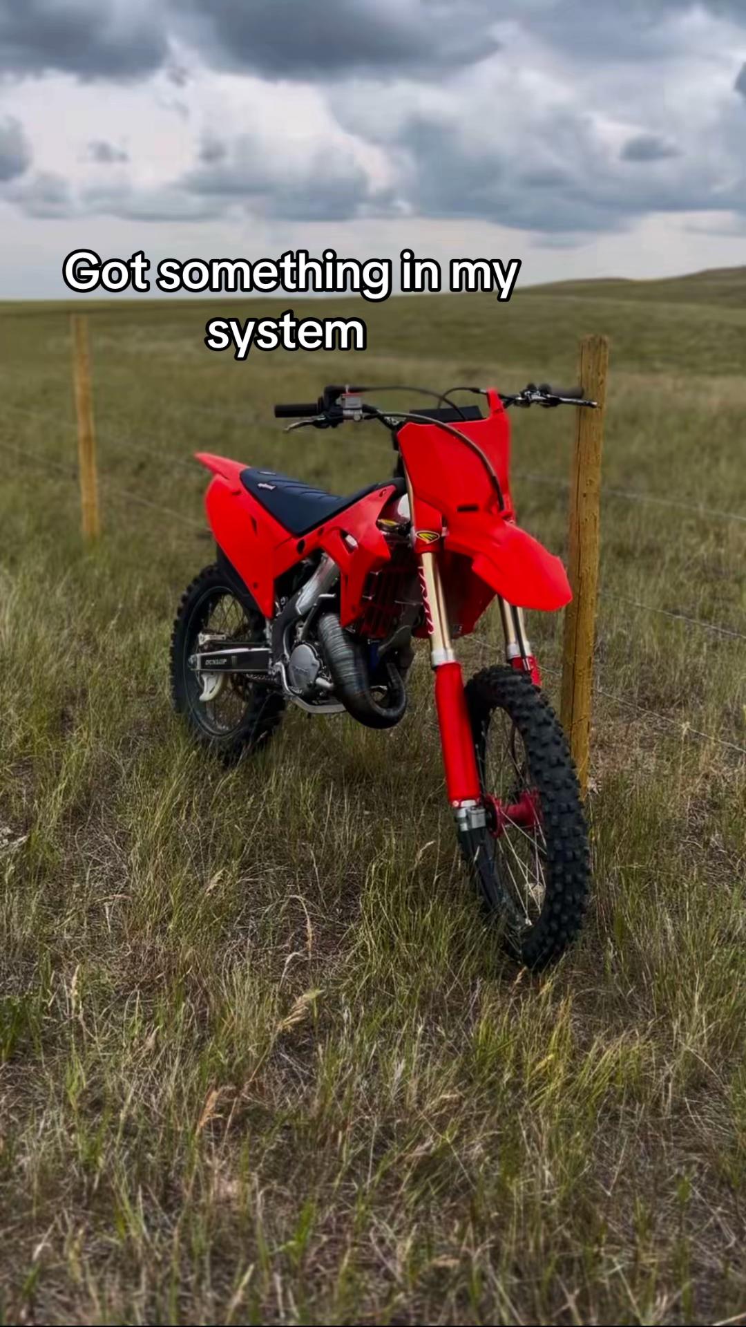 @𝓒𝓪𝓼𝓱 🇨🇦