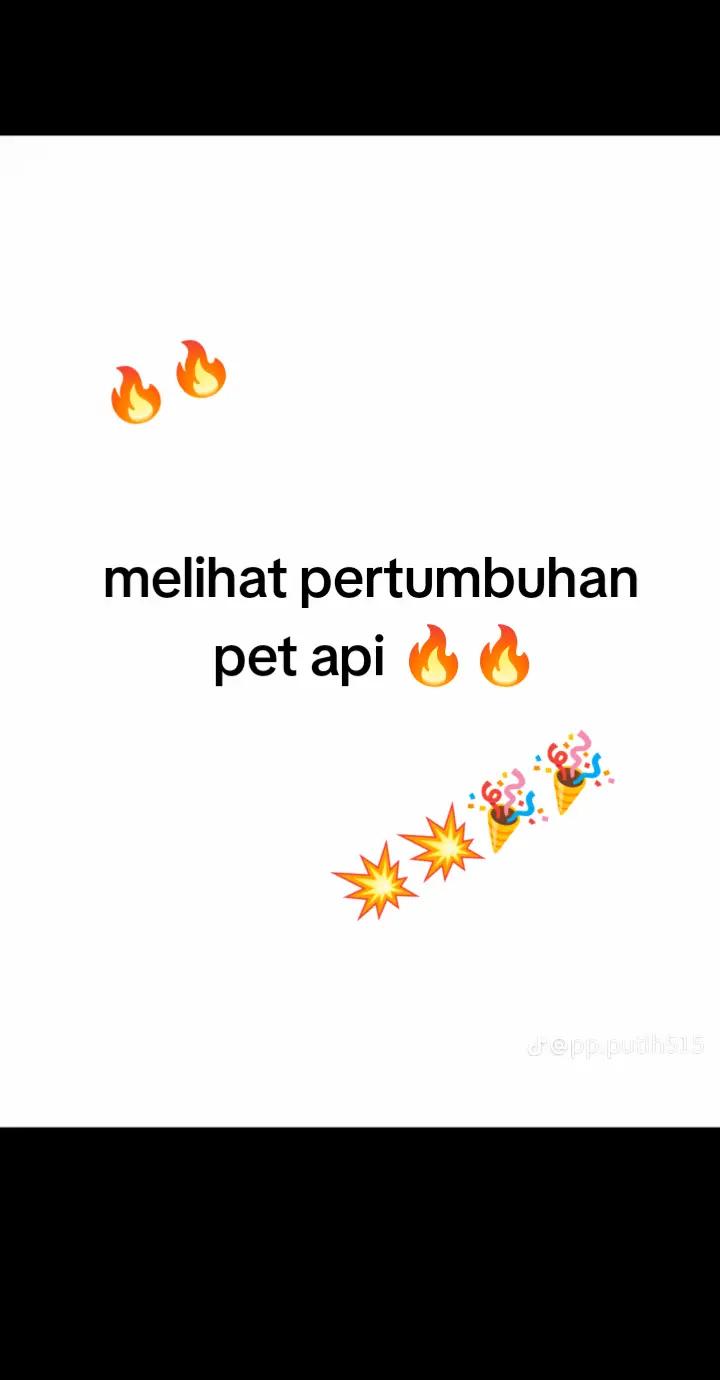 @โ ๐ฟJEL atau ARIS ๐ญโ