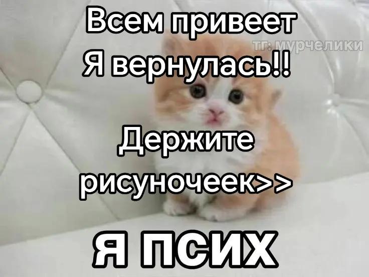 @aksii_