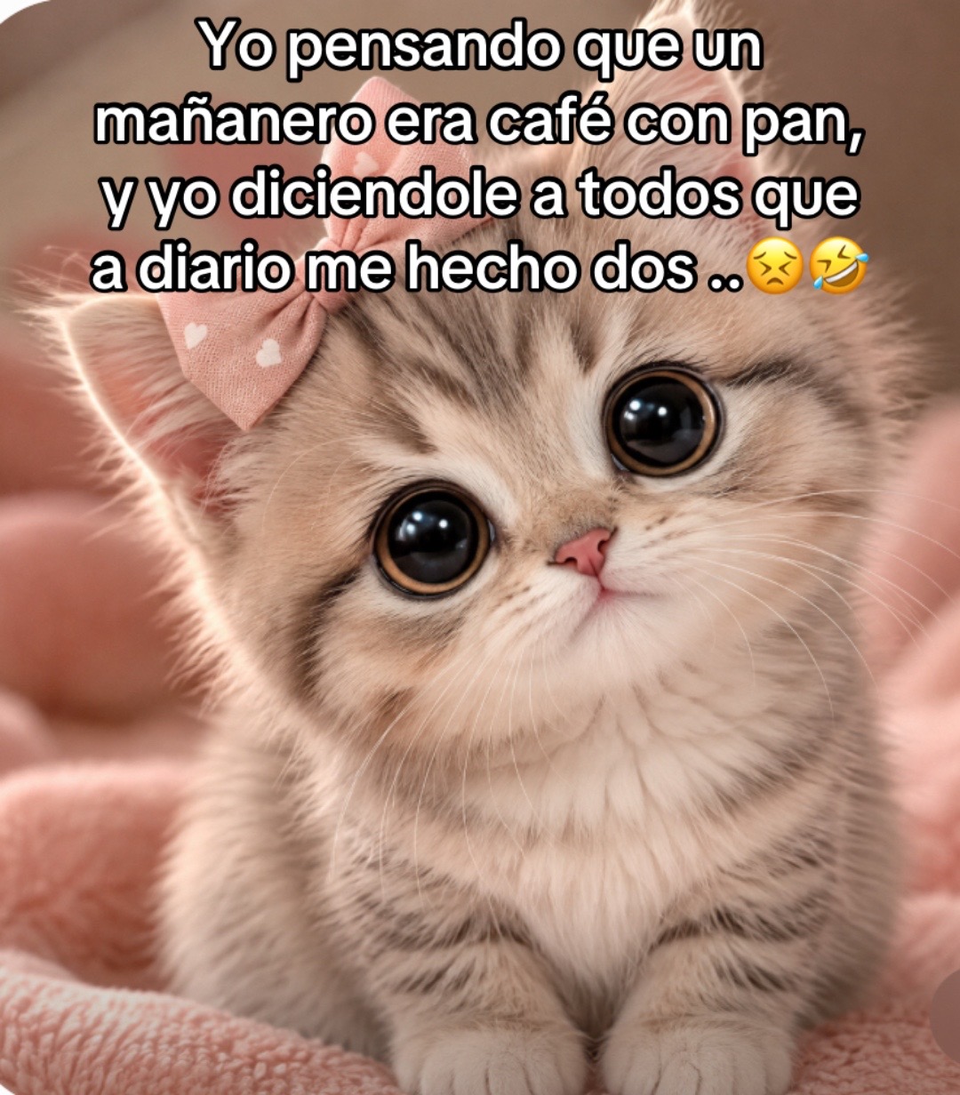 @Raquel Sanchez