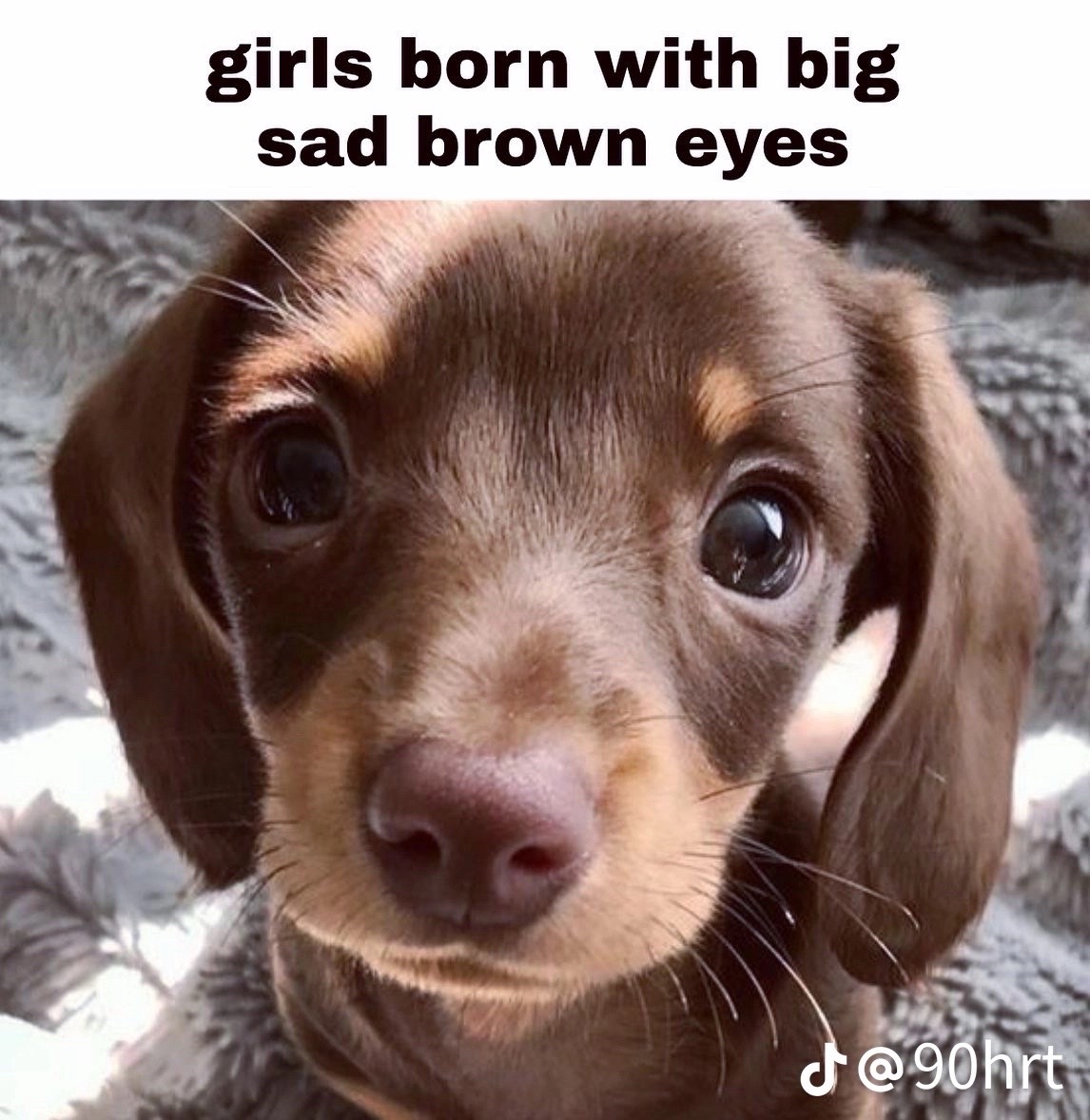 @shadowsbutt13