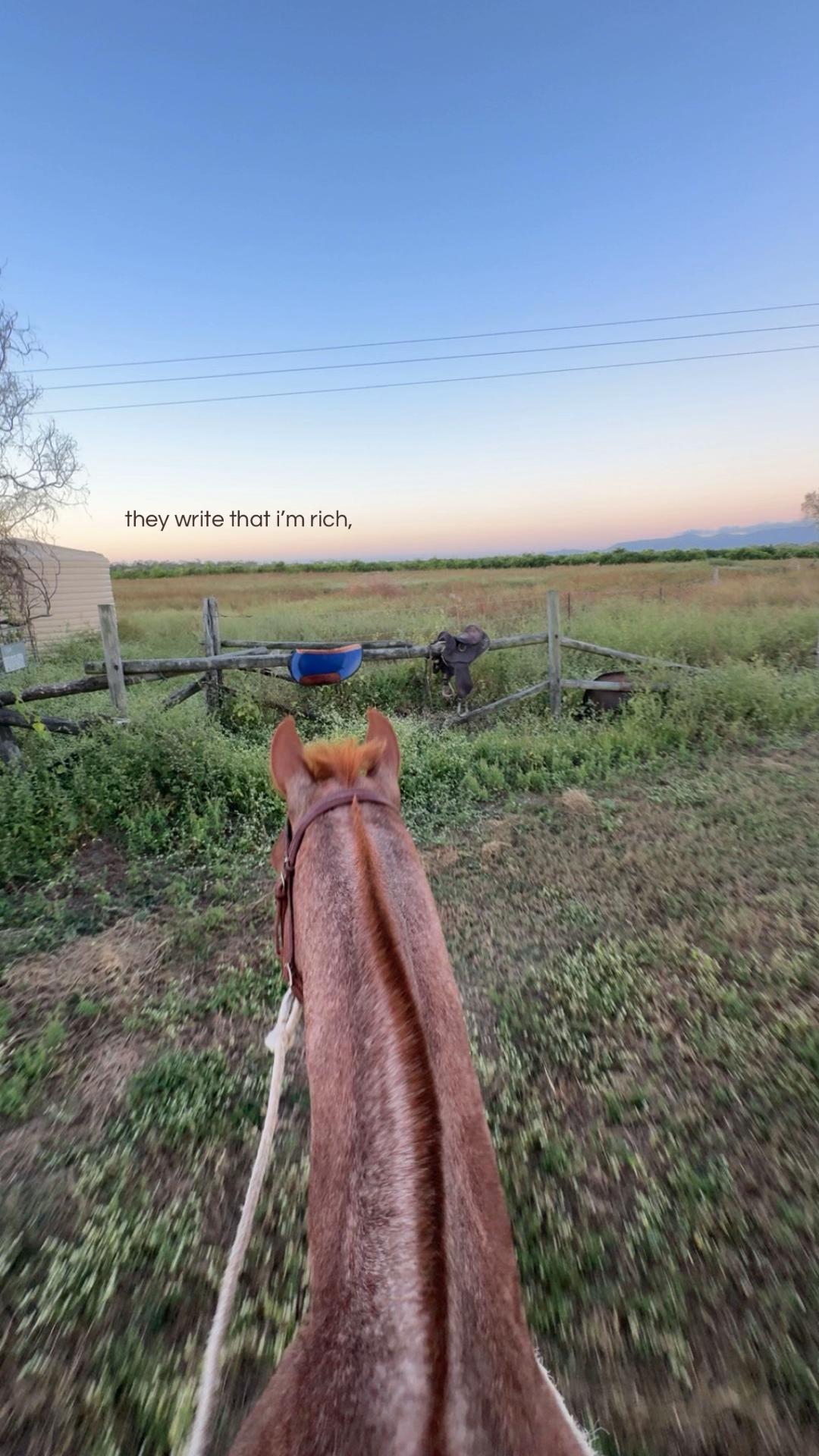 @𝐋𝐢𝐥𝐲 𝐋𝐨𝐰𝐢𝐬