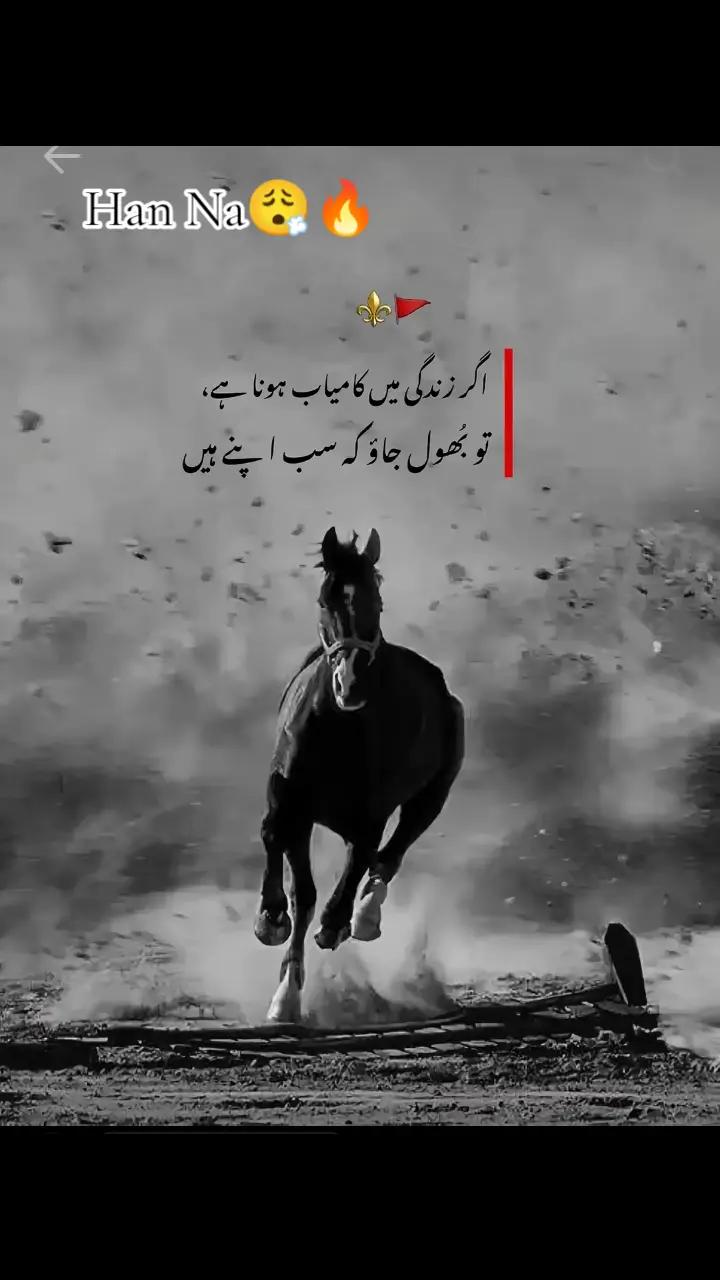@Rajab dar 786