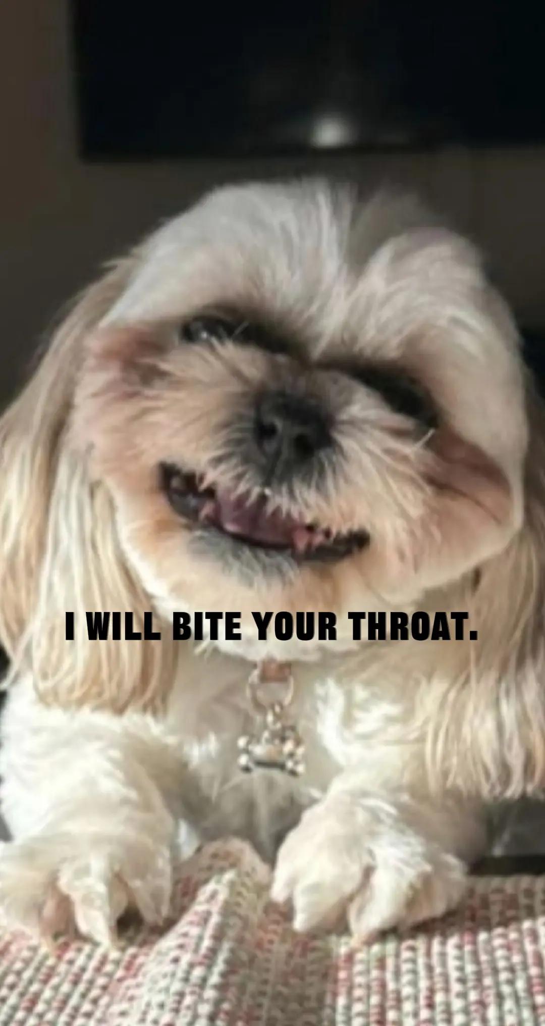 @Mistapenguin _123