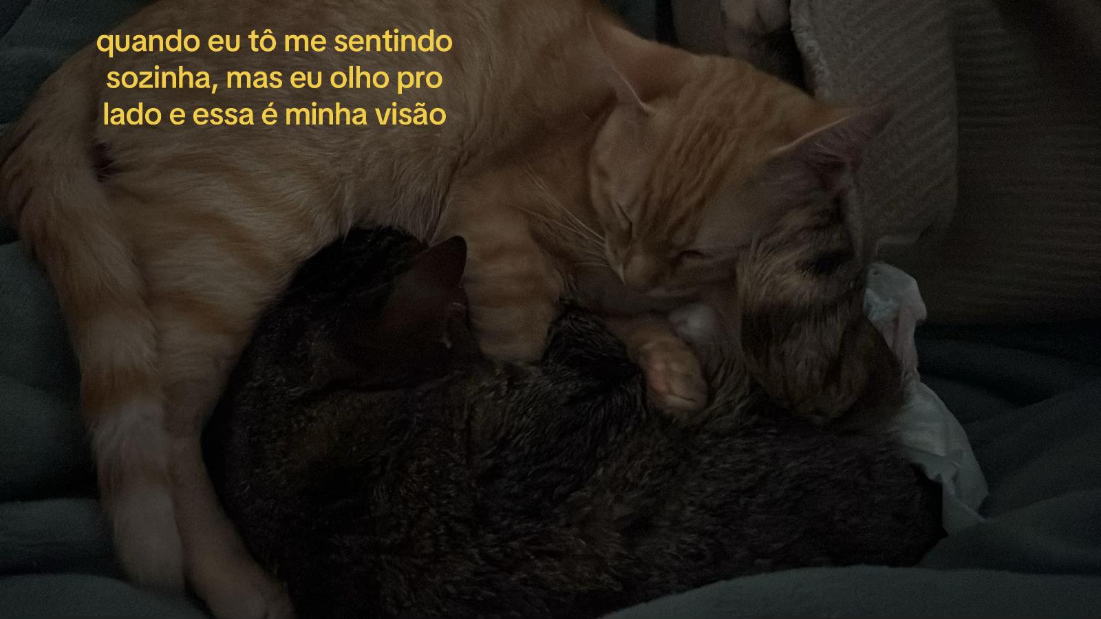 @✭𝒌𝒊𝒛𝒛✭🐈&zwj;⬛