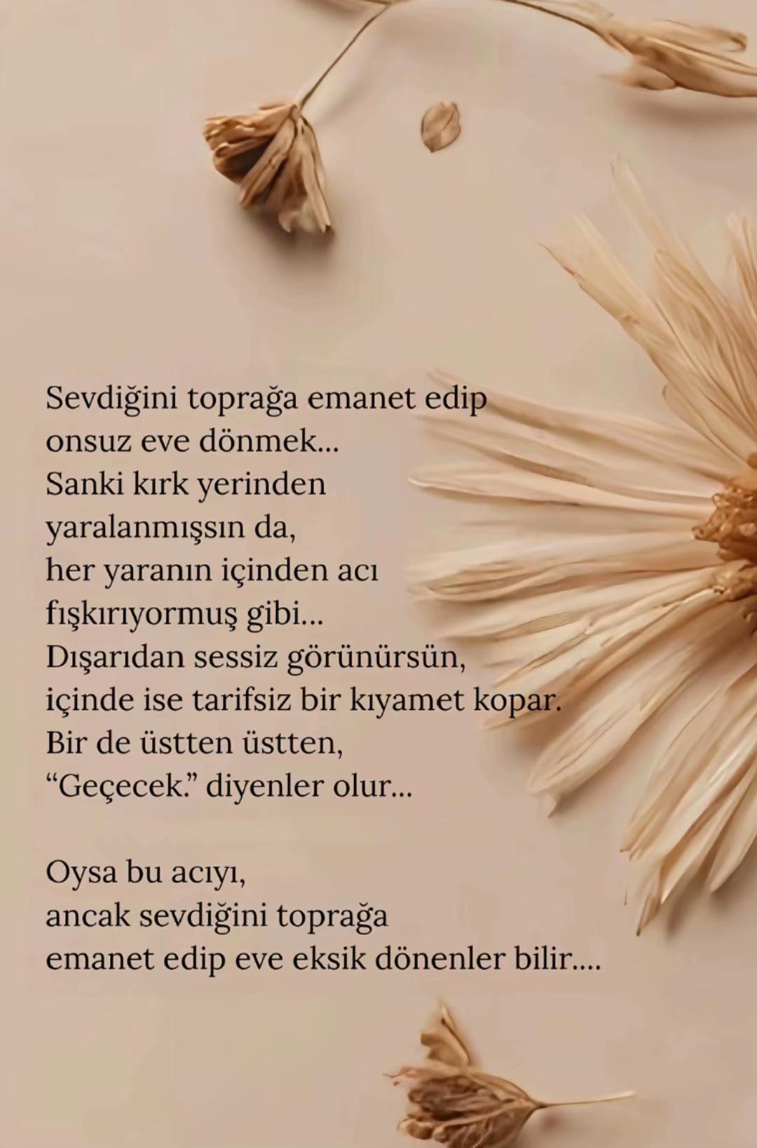 @Hayat_kry_63
