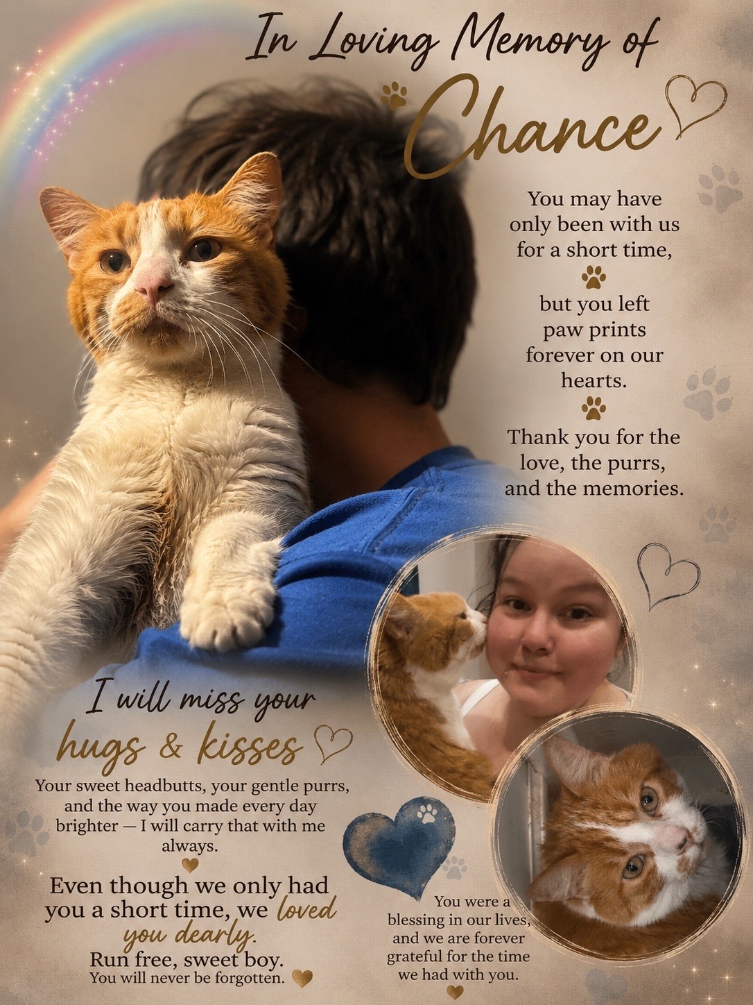 @Shaull Family Rescue