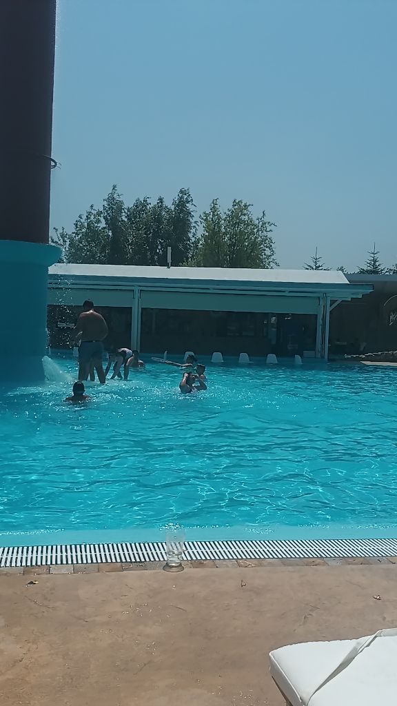 @sutaloredana382
