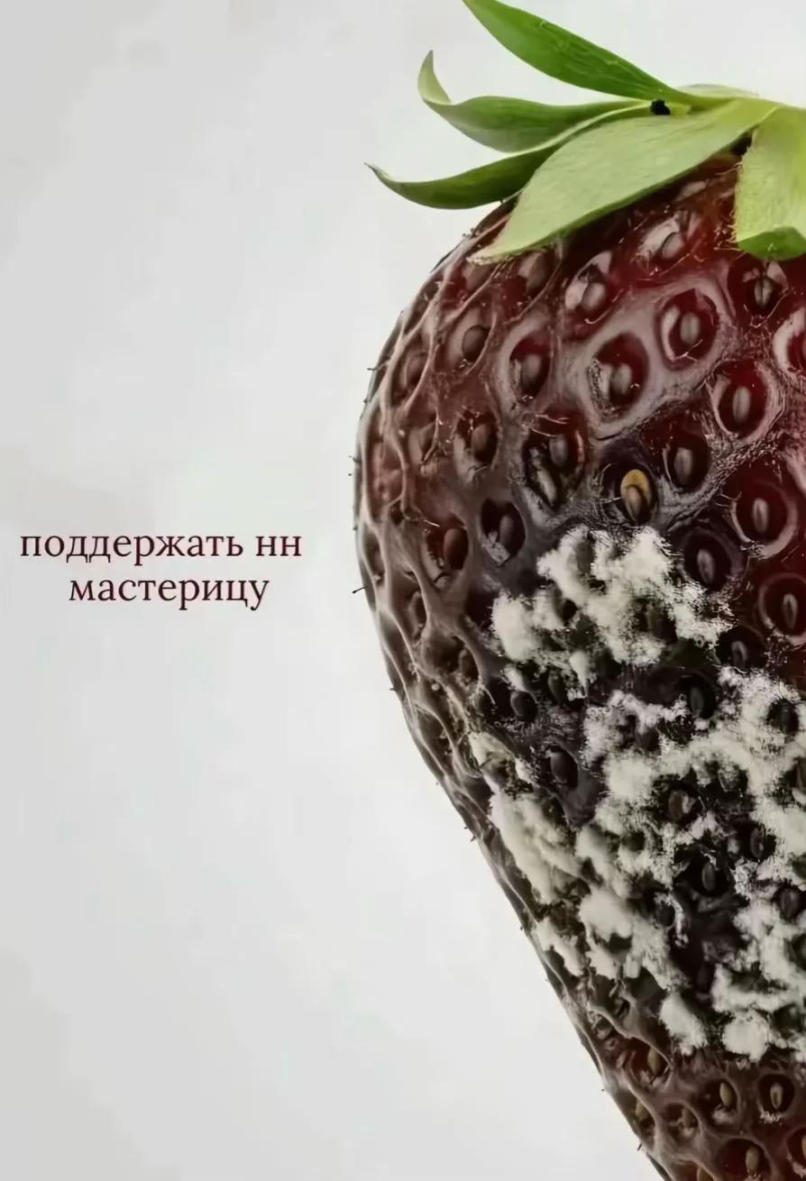 @☆ герой эквестрии ☆