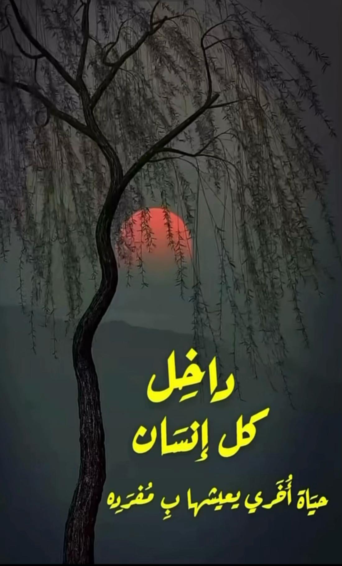 @سارة القرشي