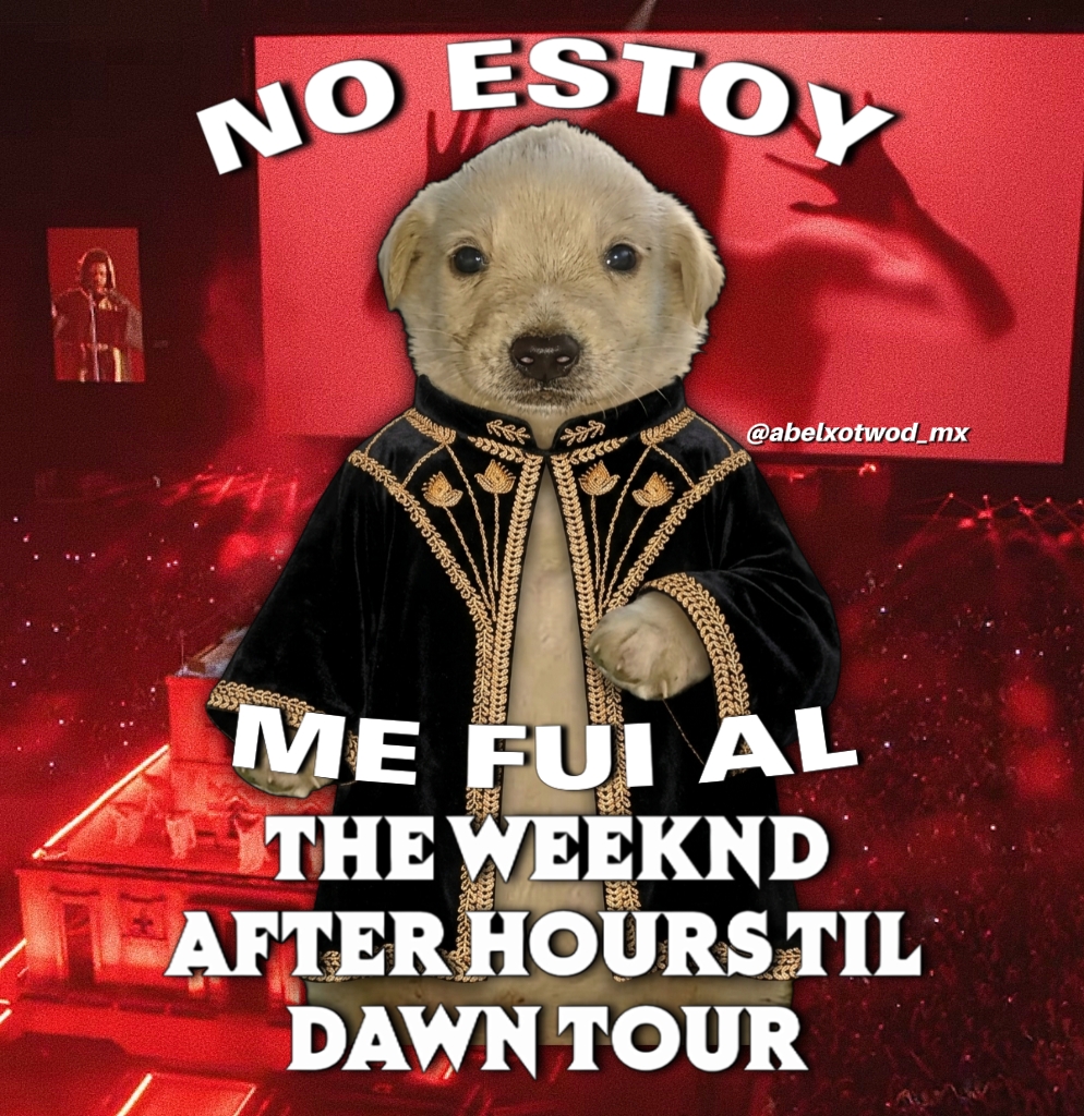 @wowNito