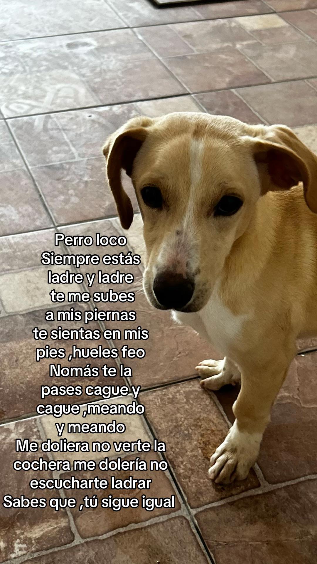 @🖇️myhatake.oficial