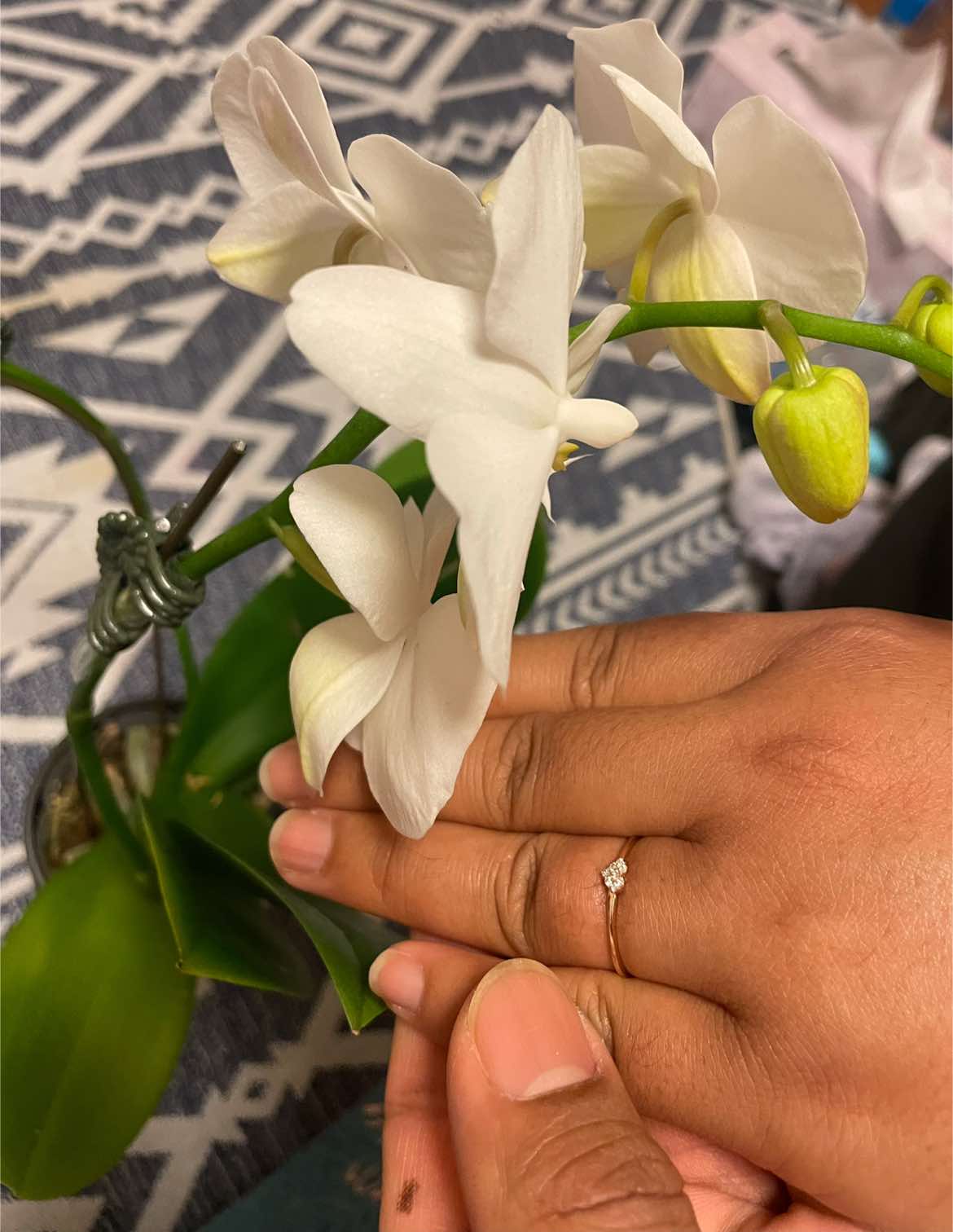 @thapamagarsangita